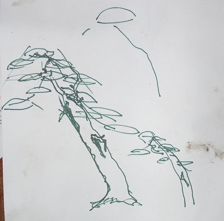 2008 - návrh P. Slováka