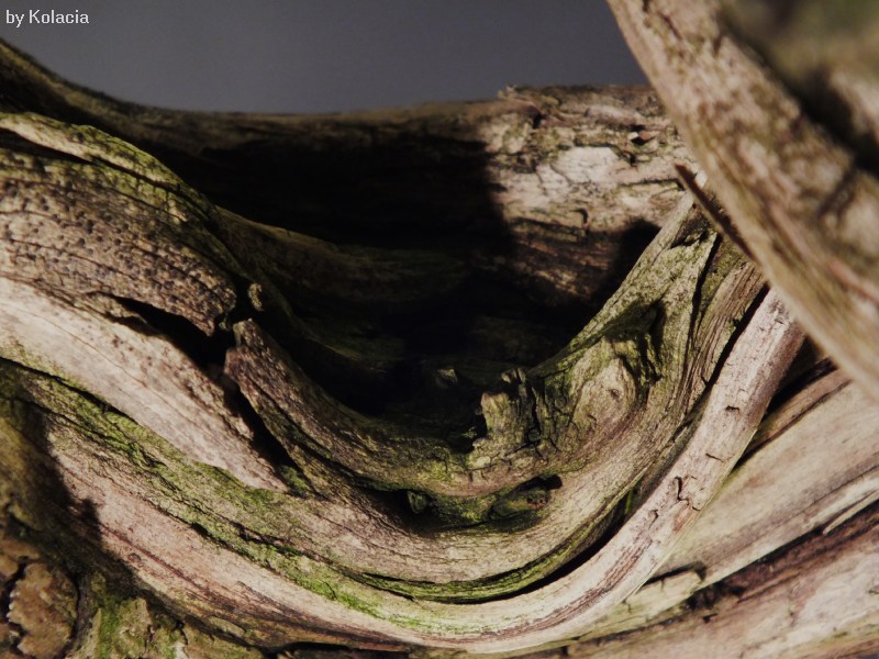6. detail1