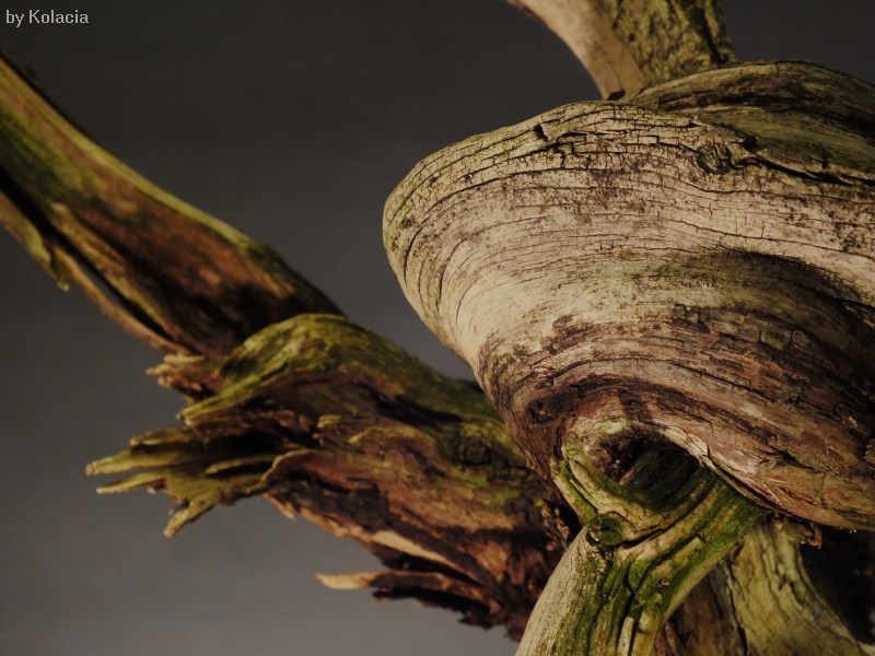 7. detail2