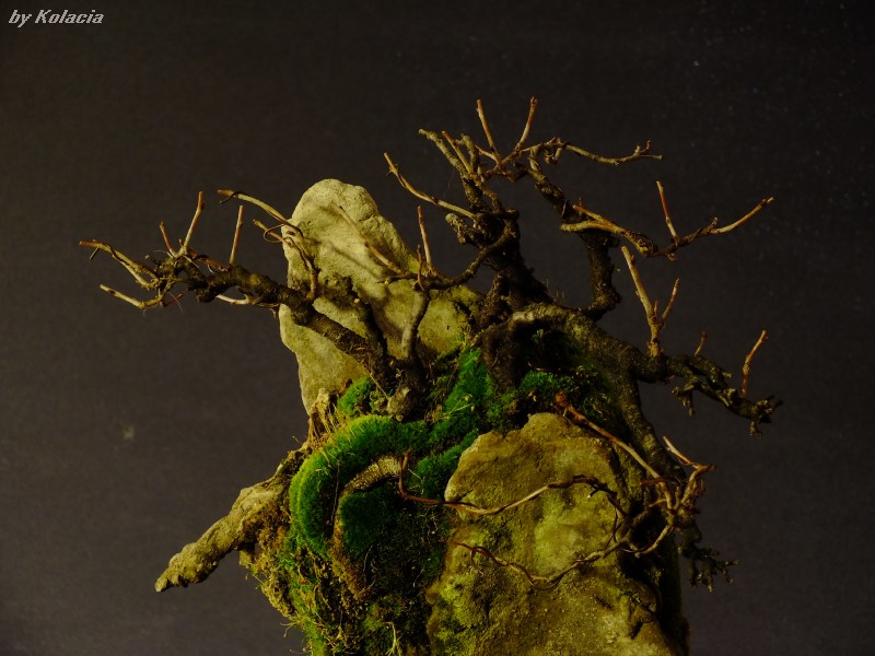 9. detail